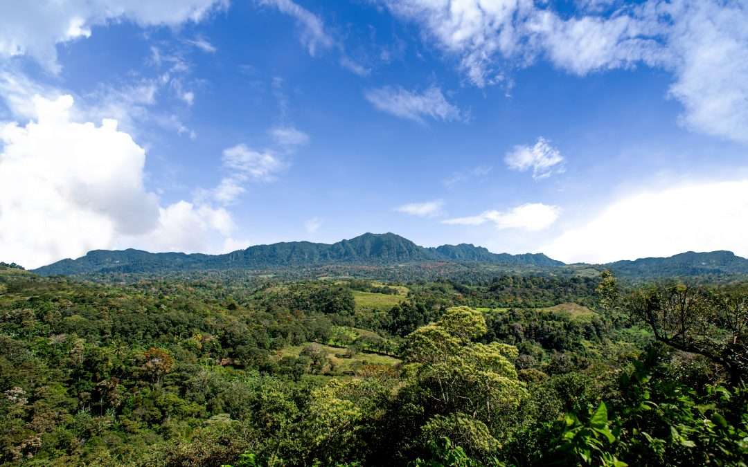 COSECHA PARTNERS: PIONEERING REGENERATIVE AGRICULTURE IN NICARAGUA SINCE 2013